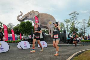 BIB: 
                            <button type="button" onclick="openModal(26529020)" class="btn btn-primary btn-sm float-right btn-popup" data-toggle="modal" data-target=".modal-high-quality">
                        <i class="fas fa-shopping-cart"></i> Add to Cart
                    </button>
                                            <button type="button" onclick="isThisMe(26529020, true)" class="btn btn-success btn-sm float-right btn-popup btn-isme hidden" data-toggle="tooltip" data-placement="bottom" title="นี่คือรูปของคุณใช่ไหม คลิกที่นี่เพื่อเอาเข้าอัลบั้ม">
                        <i class="fas fa-plus"></i> Add to album
                    </button>
                    <button type="button" onclick="isThisMe(26529020, false)" class="btn btn-warning btn-sm float-right btn-popup btn-isnotme hidden">
                        <i class="fas fa-ban"></i> Remove from album
                    </button>